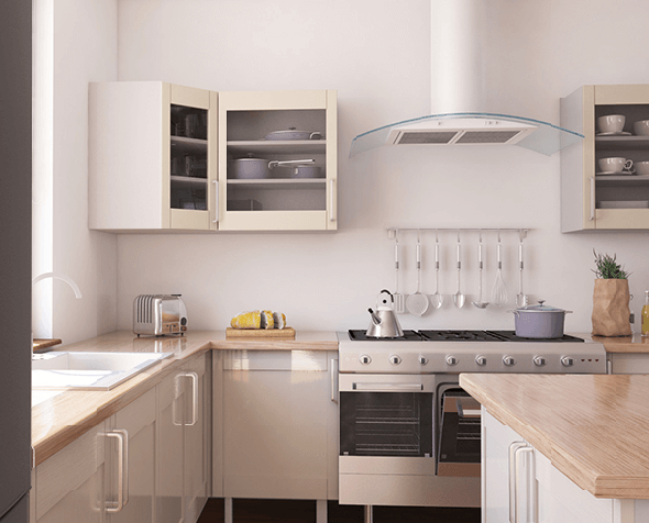 Tube-Nosed Fruit Bats