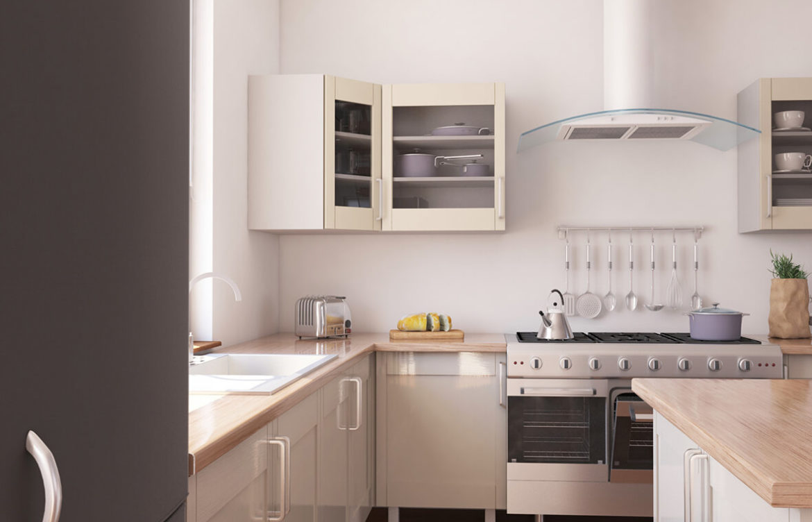 Fruit Bats – Types, Diet and Habitat Guide